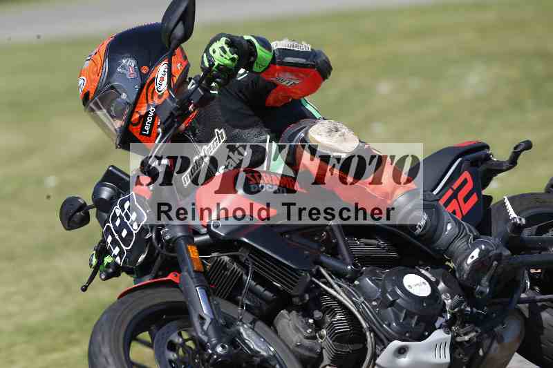 /Archiv-2025/46 11.08.2025 PADDYS-RACES-DAYS ADR/Starter-Hobby/383